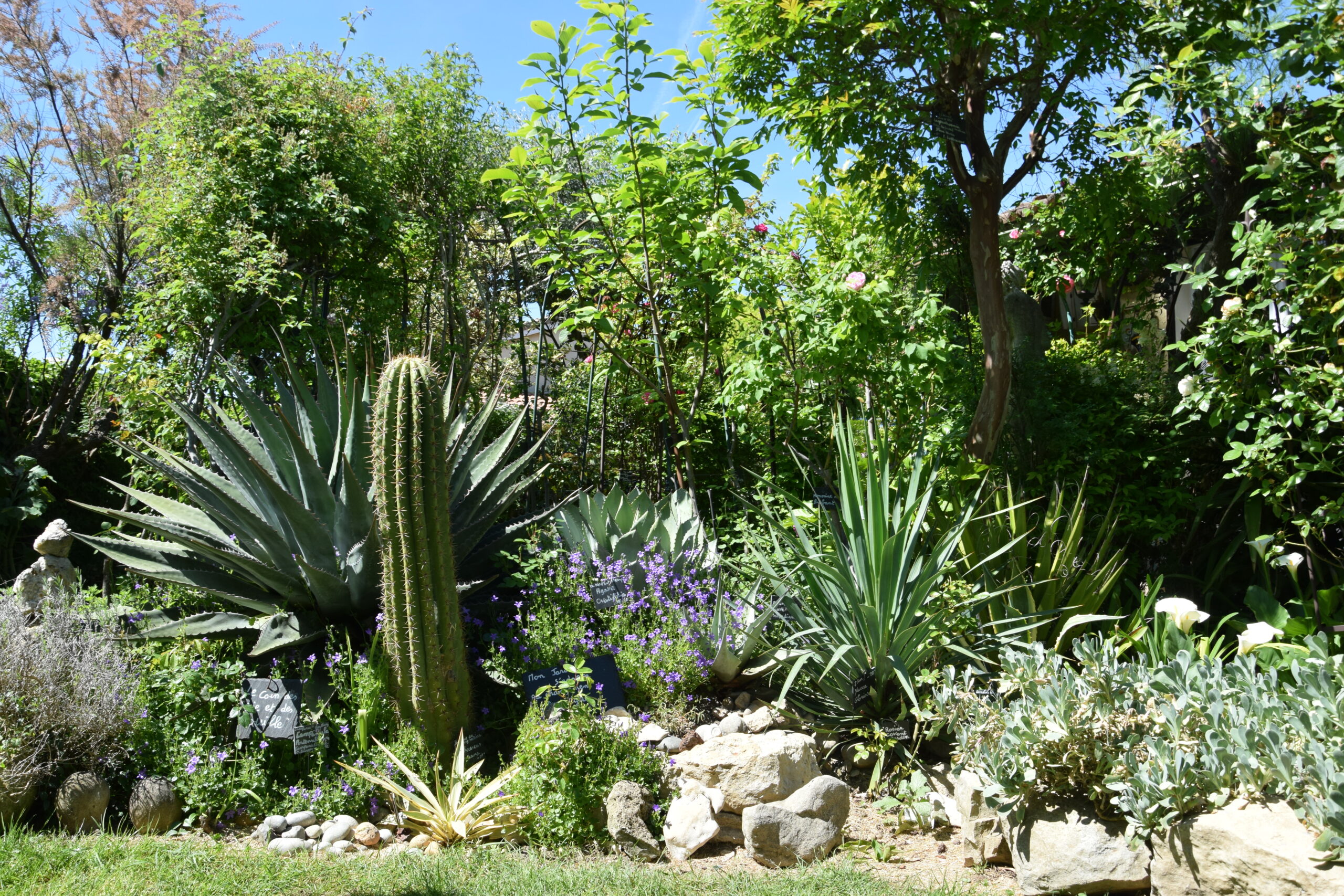 Chabeuil : l'écrin végétal du « Clos Fleuri » décroche le label Jardin Remarquable